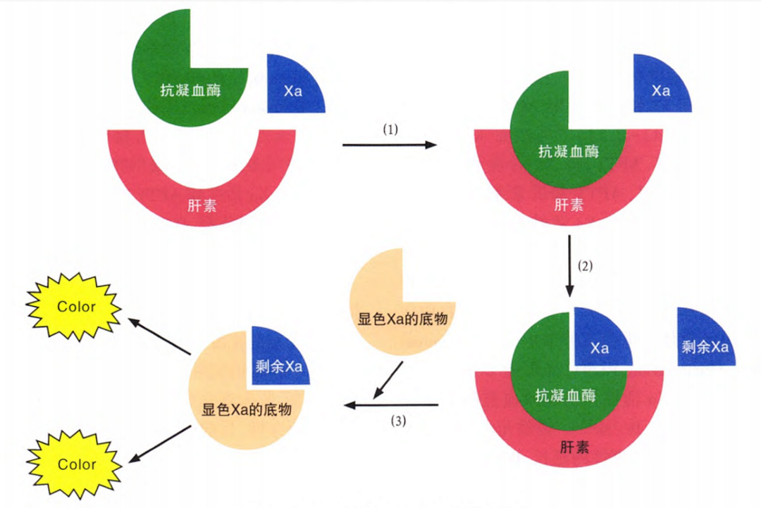 國產抗Xa質量如何？多中心臨床研究來告訴你！